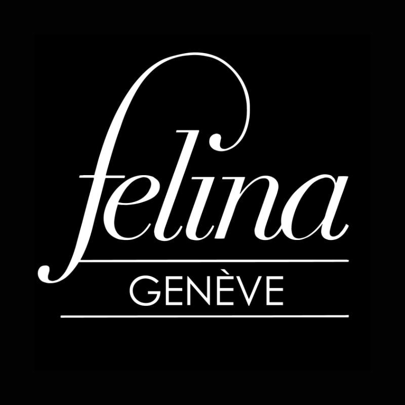Picture of Salon Felina Genève