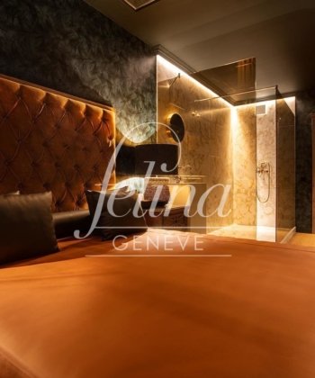 SALON FELINA GENÈVE